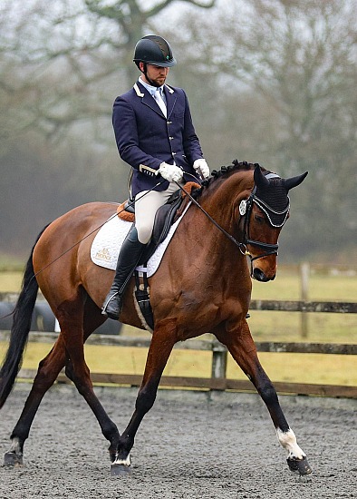 Dressage